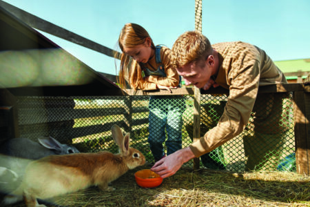 Girl looking at brother feeding rabbits with hay